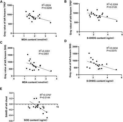 Non-Invasive Skin Imaging Assessment of Human Stress During Head-Down Bed Rest Using a Portable Handheld Two-Photon Microscope